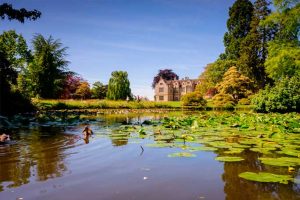 Kew Gardens and Palace